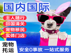 南京禄口空运地址国际宠物托运 【国